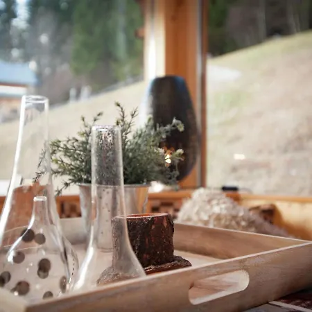 Chalet In Styria Near The Ski Area * Stadl an der Mur